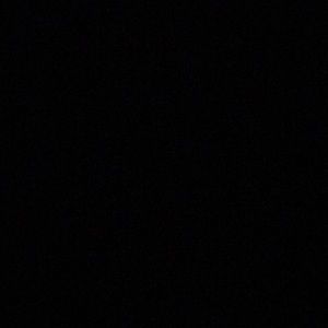 Meet your Posher, Mikey